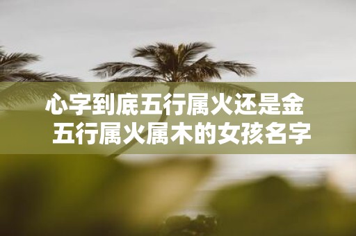 心字到底五行属火还是金 五行属火属木的女孩名字