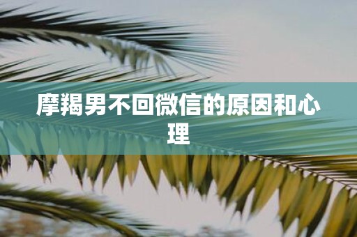 摩羯男不回微信的原因和心理