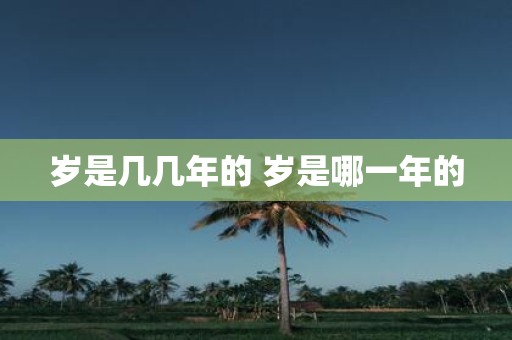岁是几几年的 岁是哪一年的