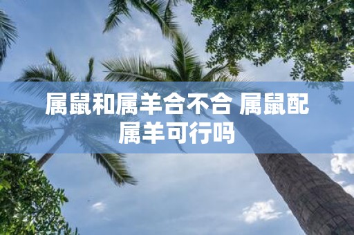 属鼠和属羊合不合 属鼠配属羊可行吗