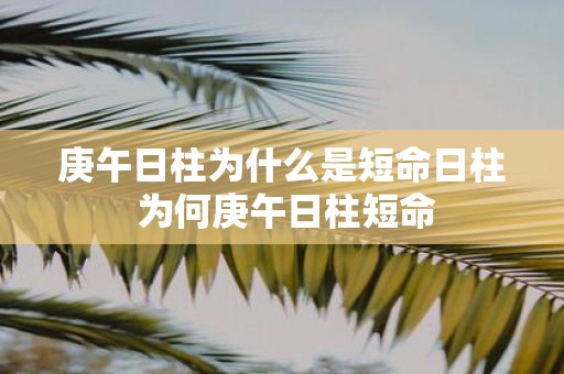 庚午日柱为什么是短命日柱 为何庚午日柱短命