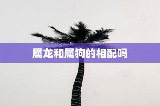属龙和属狗的相配吗