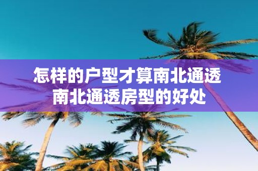 怎样的户型才算南北通透 南北通透房型的好处