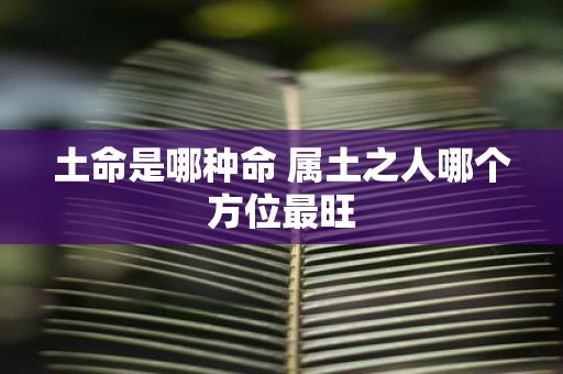 土命是哪种命 属土之人哪个方位最旺