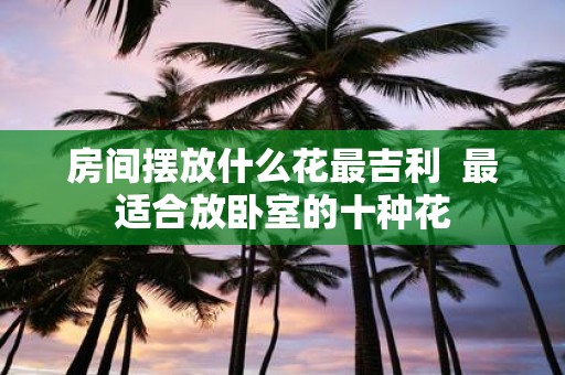 房间摆放什么花最吉利 最适合放卧室的十种花