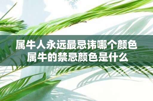 属牛人永远最忌讳哪个颜色 属牛的禁忌颜色是什么