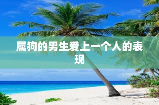 属狗的男生爱上一个人的表现