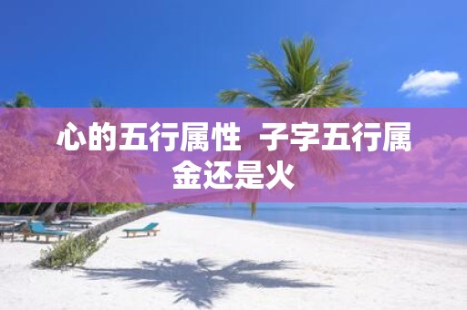 心的五行属性 子字五行属金还是火