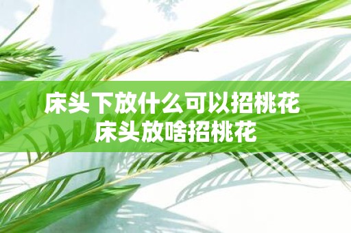 床头下放什么可以招桃花 床头放啥招桃花