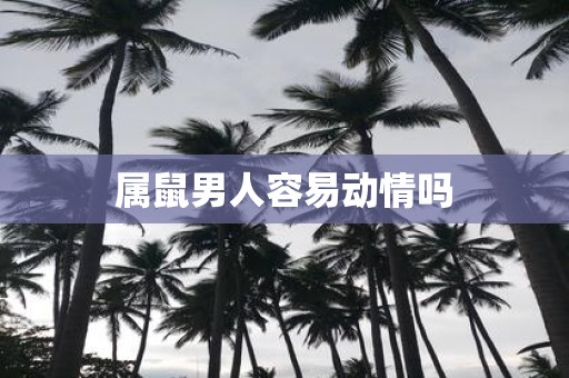 属鼠男人容易动情吗