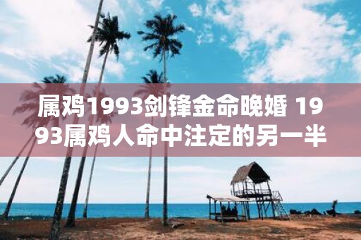 属鸡1993剑锋金命晚婚 1993属鸡人命中注定的另一半