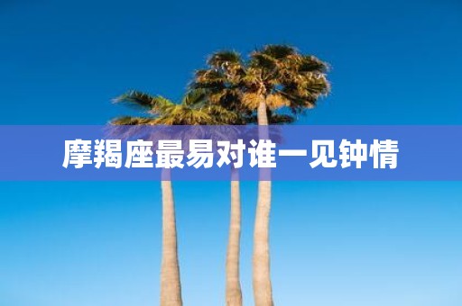 摩羯座最易对谁一见钟情