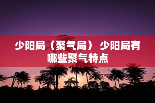 少阳局（聚气局） 少阳局有哪些聚气特点
