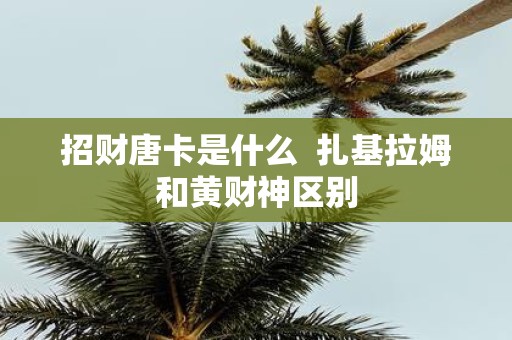 招财唐卡是什么 扎基拉姆和黄财神区别