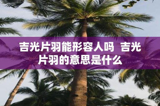 吉光片羽能形容人吗 吉光片羽的意思是什么