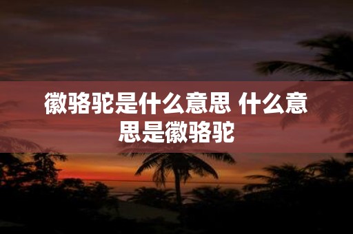 徽骆驼是什么意思 什么意思是徽骆驼