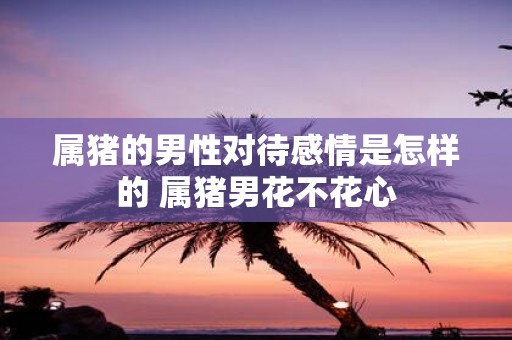 属猪的男性对待感情是怎样的 属猪男花不花心