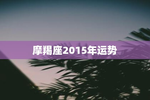 摩羯座2015年运势