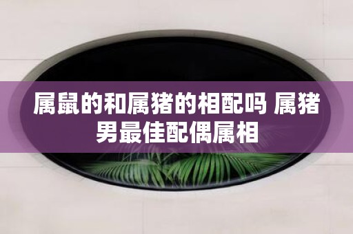 属鼠的和属猪的相配吗 属猪男最佳配偶属相