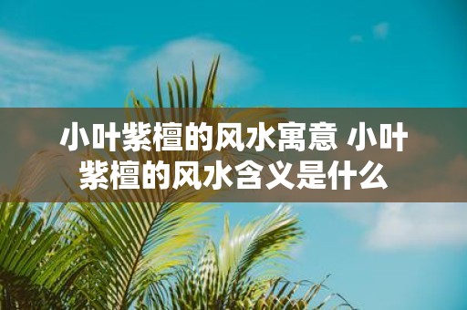 小叶紫檀的风水寓意 小叶紫檀的风水含义是什么