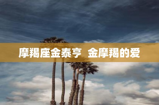 摩羯座金泰亨 金摩羯的爱