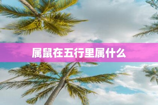 属鼠在五行里属什么
