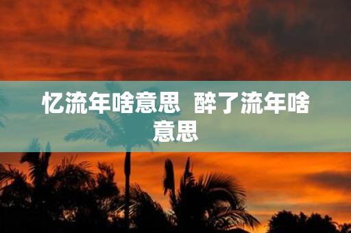 忆流年啥意思 醉了流年啥意思