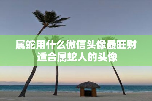 属蛇用什么微信头像最旺财 适合属蛇人的头像