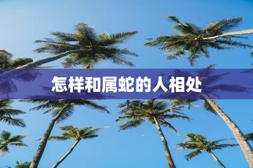 怎样和属蛇的人相处