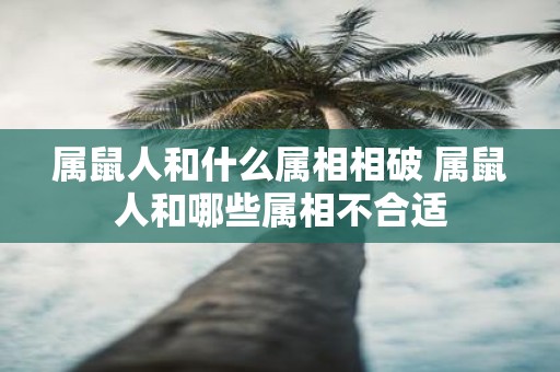属鼠人和什么属相相破 属鼠人和哪些属相不合适