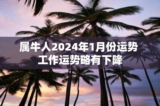 属牛人2025年1月份运势 工作运势略有下降