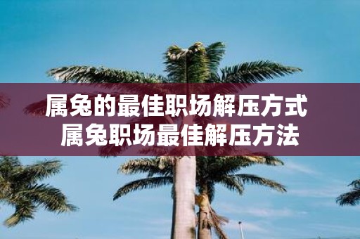 属兔的最佳职场解压方式 属兔职场最佳解压方法