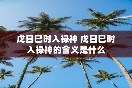 戊日巳时入禄神 戊日巳时入禄神的含义是什么