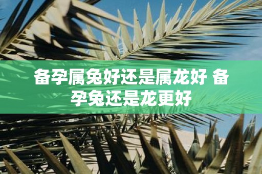 备孕属兔好还是属龙好 备孕兔还是龙更好