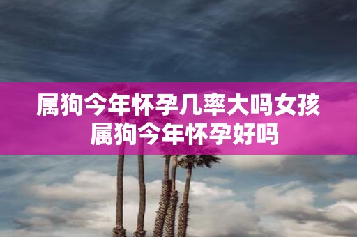 属狗今年怀孕几率大吗女孩 属狗今年怀孕好吗