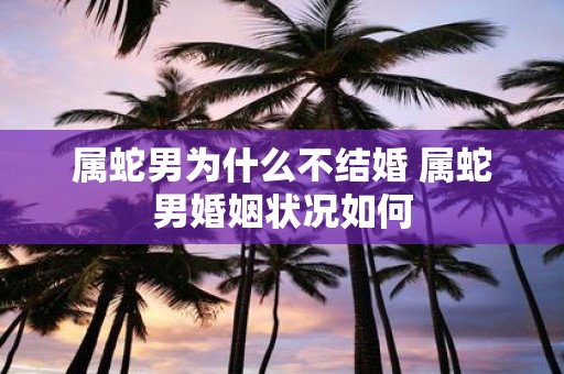 属蛇男为什么不结婚 属蛇男婚姻状况如何