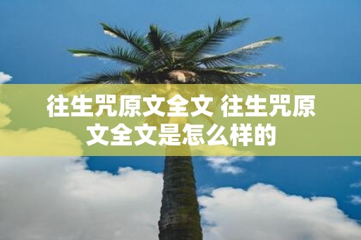 往生咒原文全文 往生咒原文全文是怎么样的