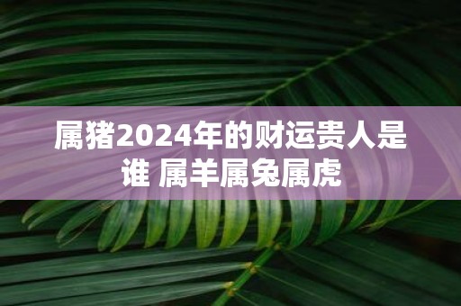 属猪2025年的财运贵人是谁 属羊属兔属虎