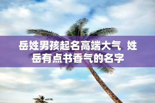 岳姓男孩起名高端大气 姓岳有点书香气的名字