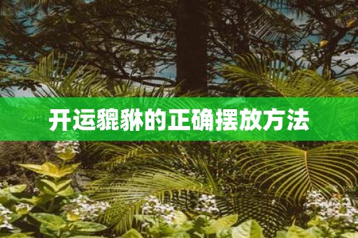 开运貔貅的正确摆放方法
