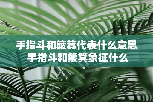 手指斗和簸箕代表什么意思 手指斗和簸箕象征什么