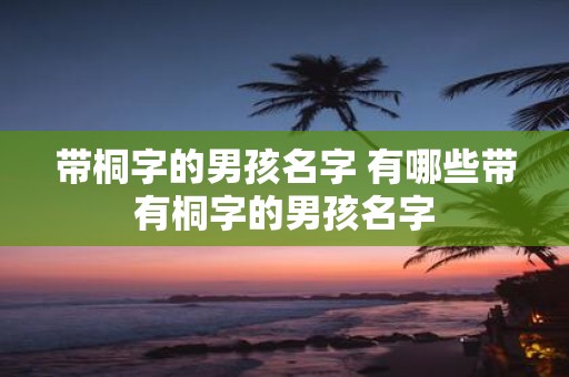 带桐字的男孩名字 有哪些带有桐字的男孩名字