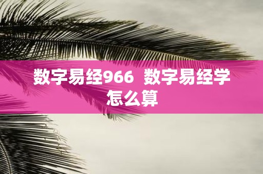 数字易经966  数字易经学怎么算