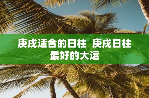 庚戌适合的日柱 庚戌日柱最好的大运