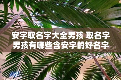 安字取名字大全男孩 取名字男孩有哪些含安字的好名字