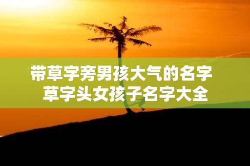 带草字旁男孩大气的名字 草字头女孩子名字大全
