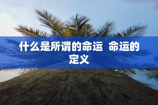 什么是所谓的命运 命运的定义