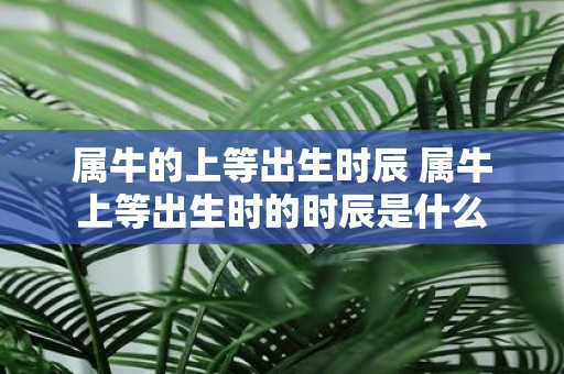属牛的上等出生时辰 属牛上等出生时的时辰是什么