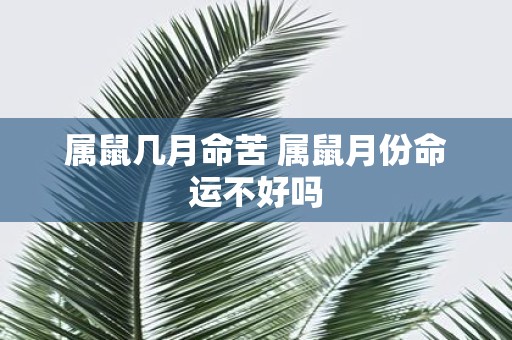 属鼠几月命苦 属鼠月份命运不好吗
