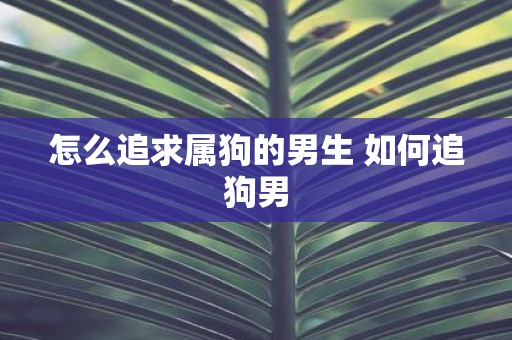怎么追求属狗的男生 如何追狗男